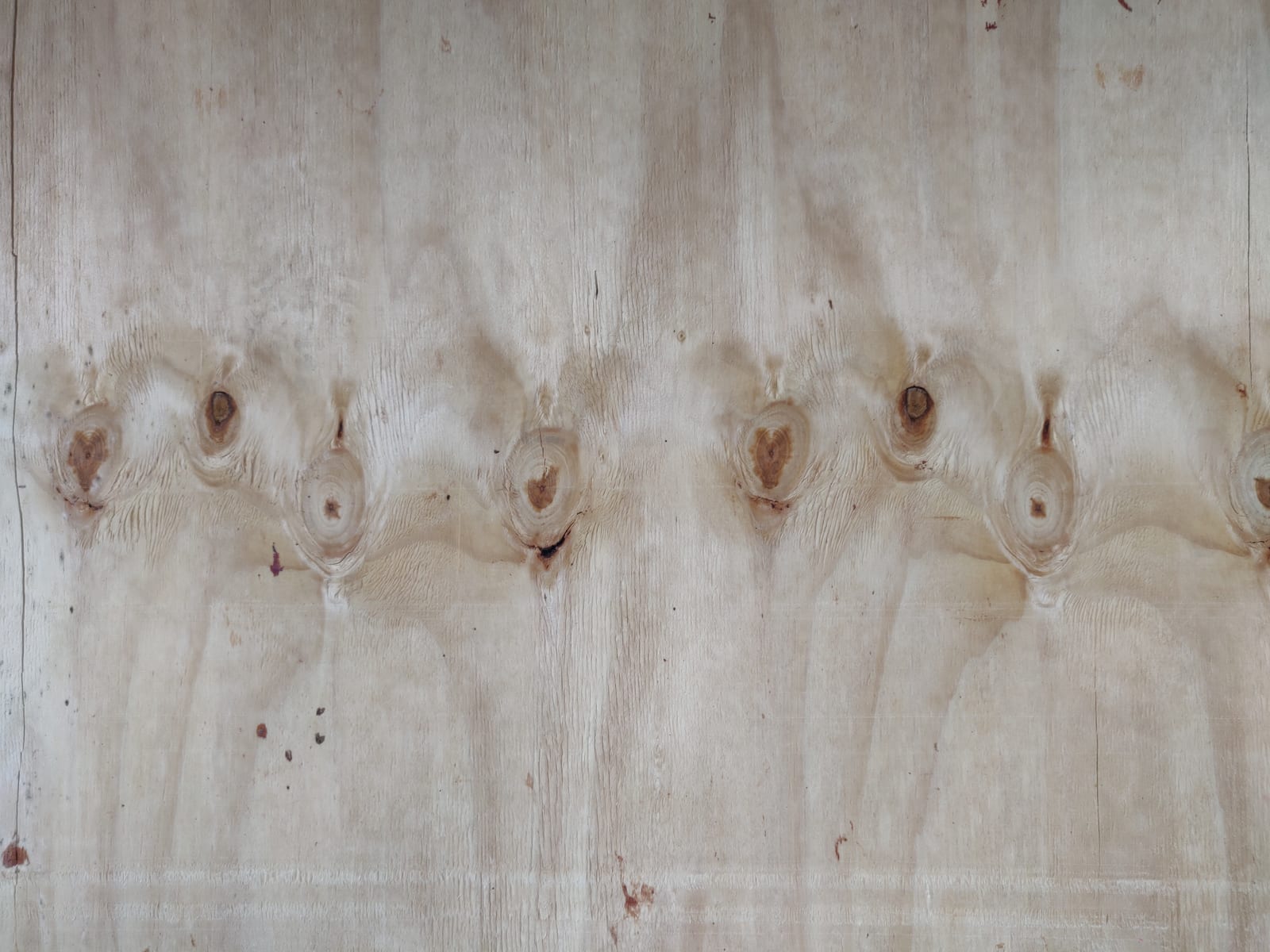 Nahaufnahme von echtem Holzmaser